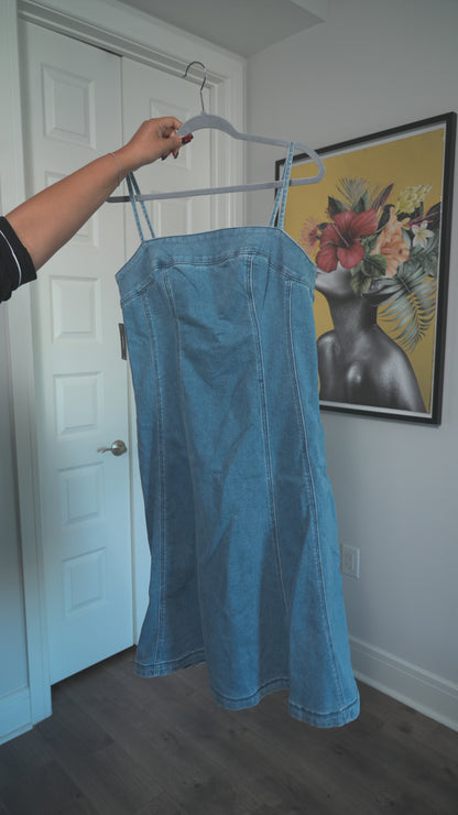 Express Denim Dress - Size 14 (Never Worn)